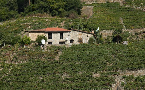 Holiday cottages in Sant Agustí de Lluçanès