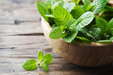 10 plantes aromatiques pour la cuisine que vous trouverez à Gérone