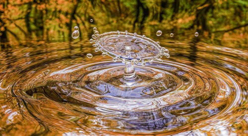 10 Consejos para ahorrar agua en época de sequía