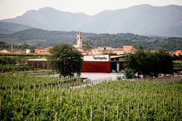 11 wineries of the Alt Empordà where you can enjoy wine tourism