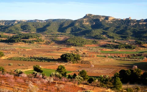 Cases rurals a Vilalba dels Arcs