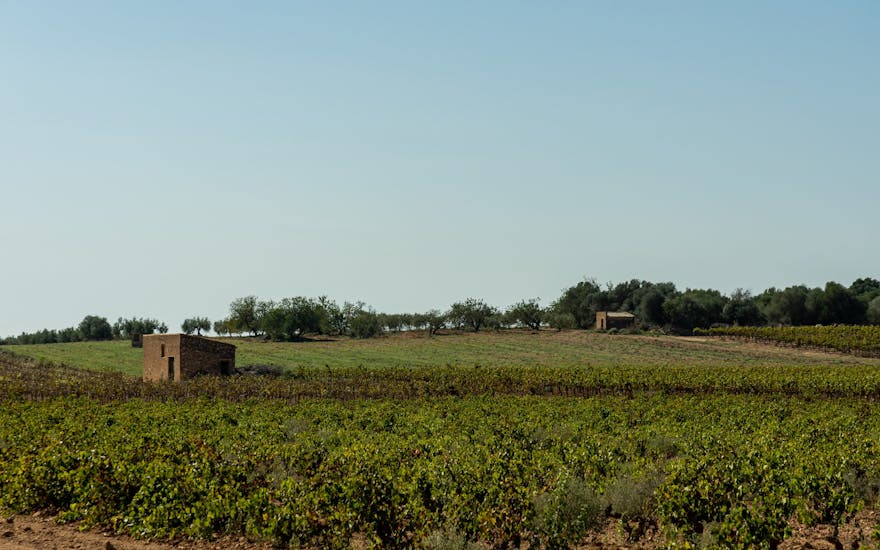 Casas rurales en Vilabella