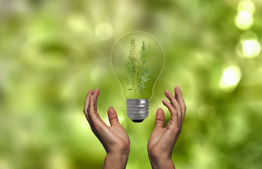 Tips and good practices to save energy and improve sustainability