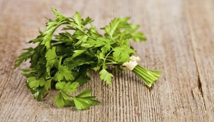 10 plantes aromatiques pour la cuisine que vous trouverez à Gérone
