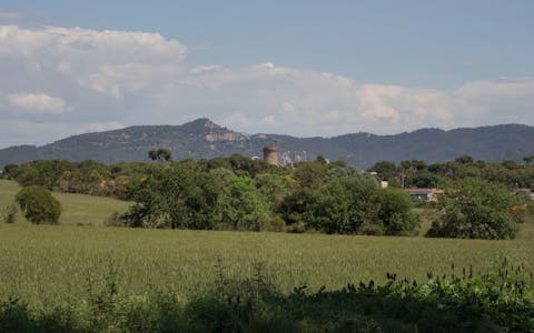 Cases rurals a la Palma de Cervelló