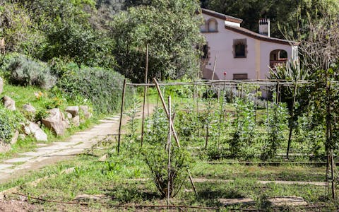 Cases rurals a Sant Bartomeu del Grau 