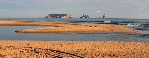 La Gola del Ter: a virgin, wild and natural beach